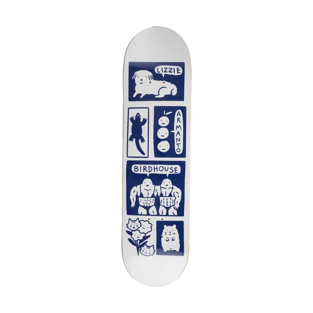 Birdhouse Pro Deck Armanto Catalina