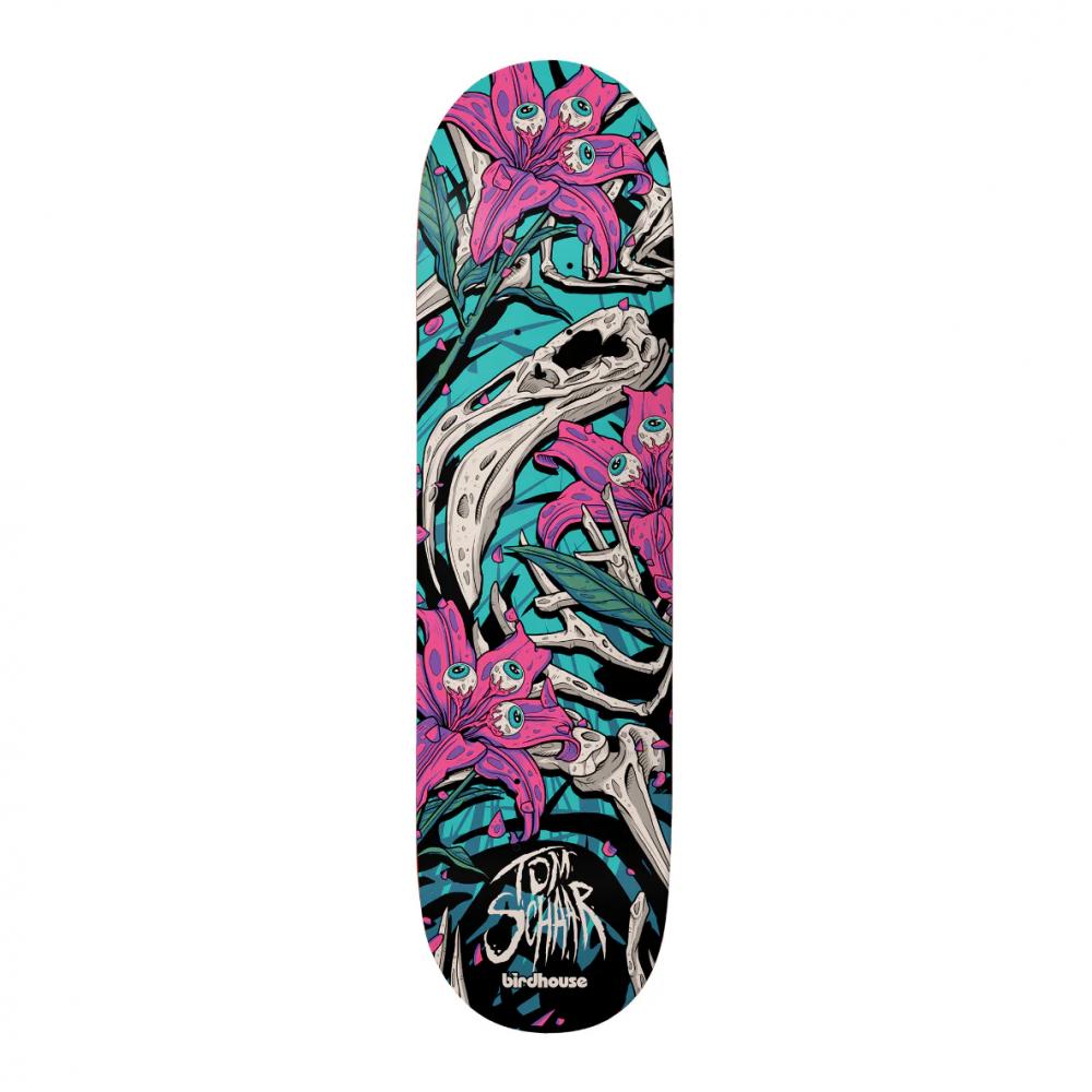 Birdhouse Pro Deck Tom Schaar Tillbrook