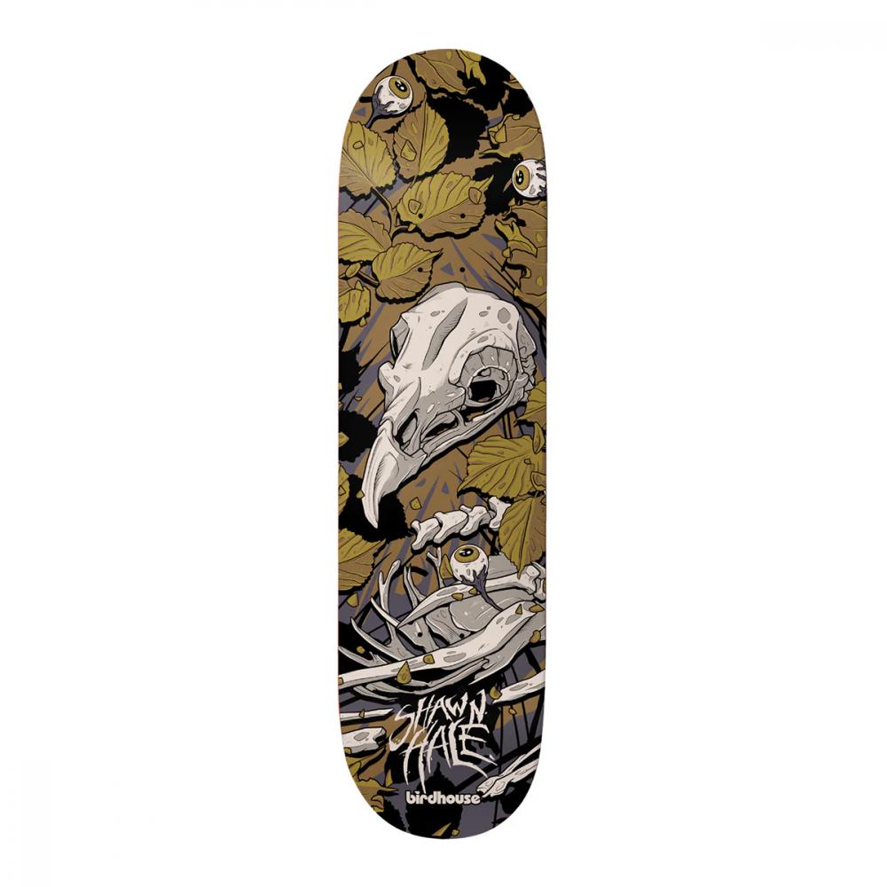 Birdhouse Pro Deck Shawn Hale Tillbrook