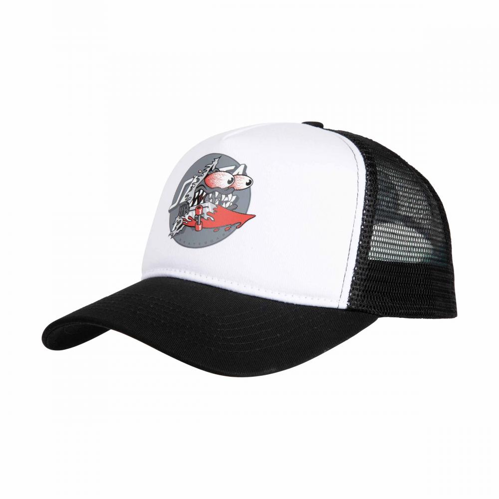 Santa Cruz Cap Meek Slashed Dot Meshback
